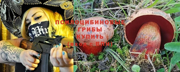 прущая мука Михайлов