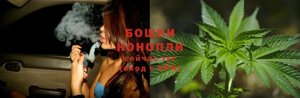 spice Алексин