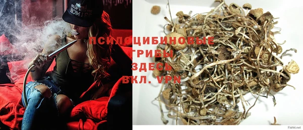 ПСИЛОЦИБИНОВЫЕ ГРИБЫ Алзамай