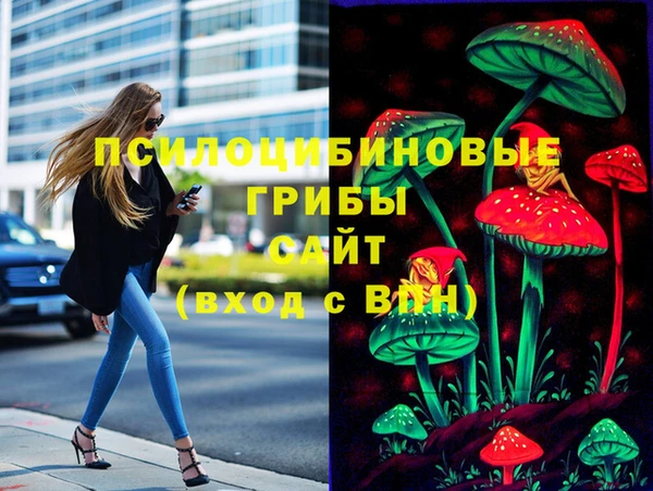 ПСИЛОЦИБИНОВЫЕ ГРИБЫ Алзамай