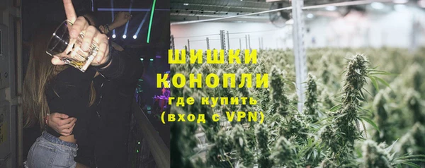 ПСИЛОЦИБИНОВЫЕ ГРИБЫ Алзамай