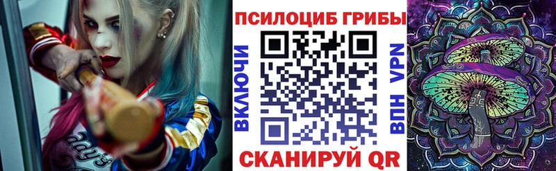 blacksprut ссылки  даркнет формула  Псилоцибиновые грибы мухоморы  Александровское 